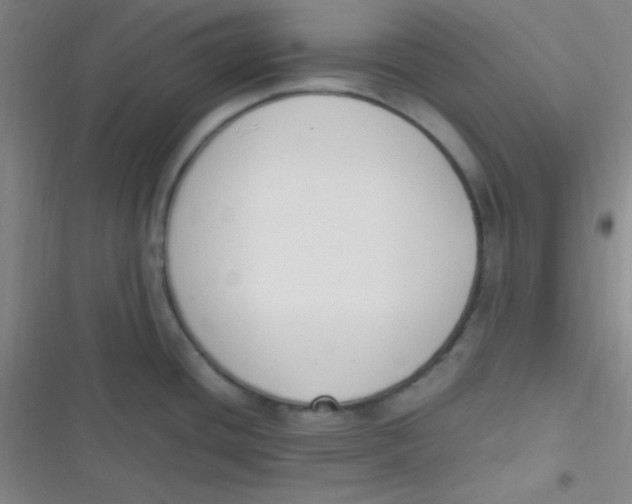 X0000116821436201001081407