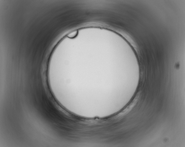 X0000116821438201001081407