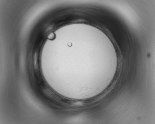 X0000116821439201001081407