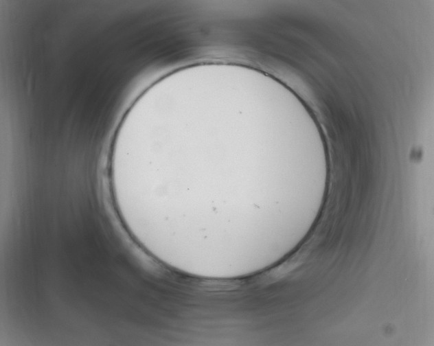 X0000116821440201001081407