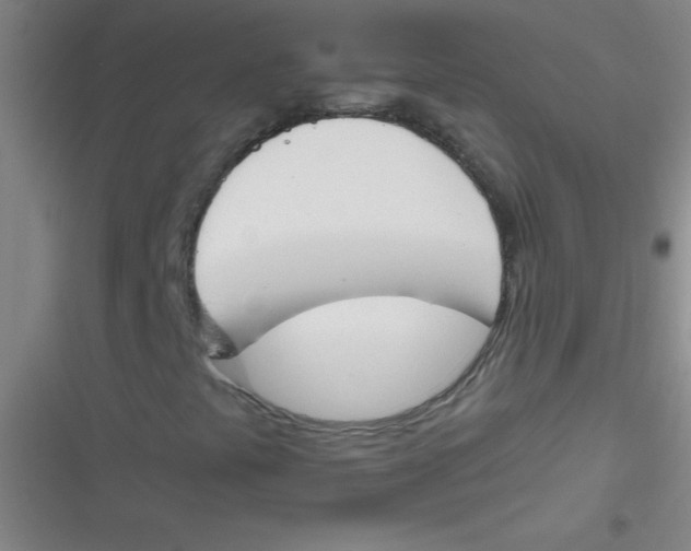 X0000116821441201001081407