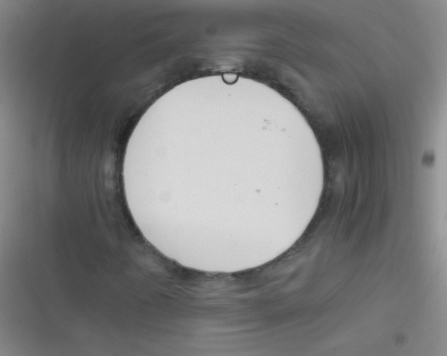 X0000116821442201001081407