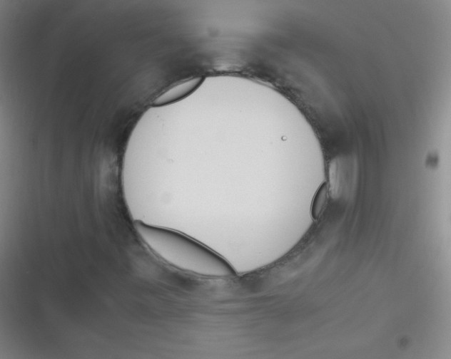 X0000116821443201001081407