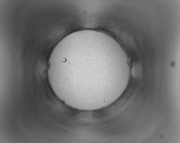 X0000116821444201001081407