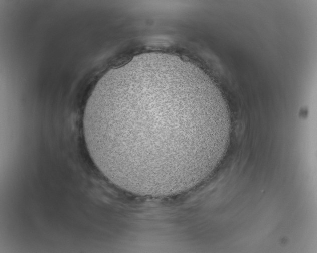 X0000116821445201001081407