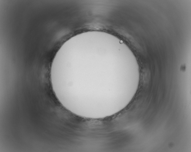 X0000116821446201001081407