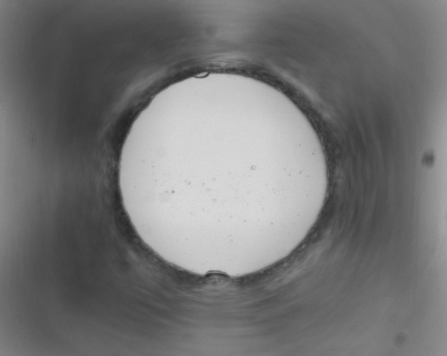 X0000116821447201001081407