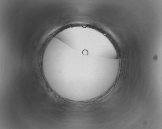 X0000116821448201001081407