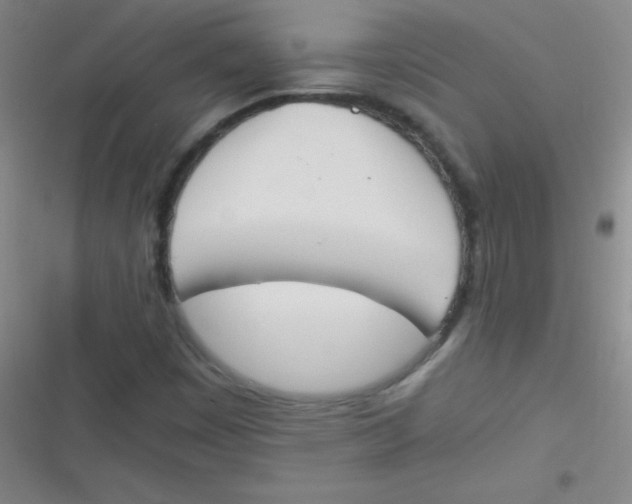 X0000116821449201001081407