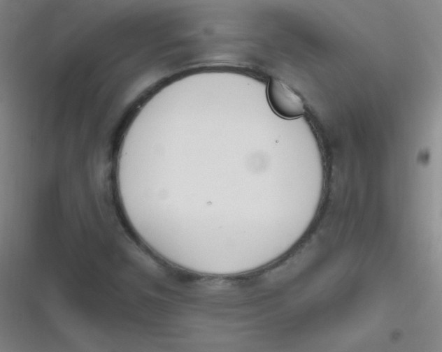 X0000116821450201001081407