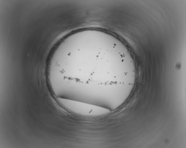 X0000116821452201001081407