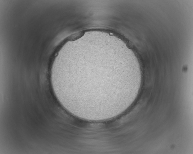 X0000116821453201001081407