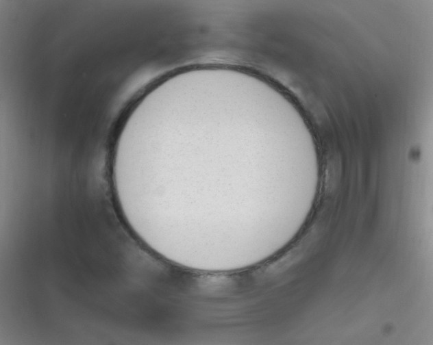 X0000116821454201001081407