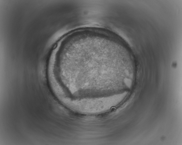 X0000116821455201001081407