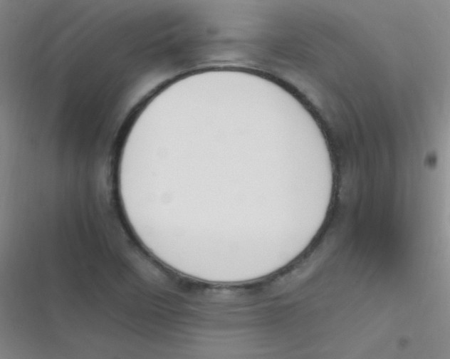 X0000116821458201001081407