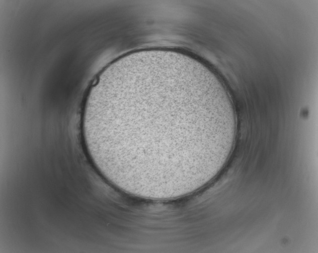 X0000116821459201001081407