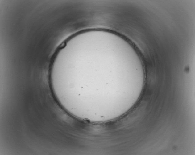 X0000116821460201001081407