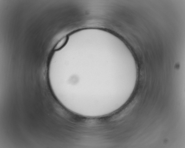 X0000116821461201001081407