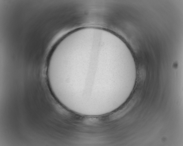 X0000116821462201001081407