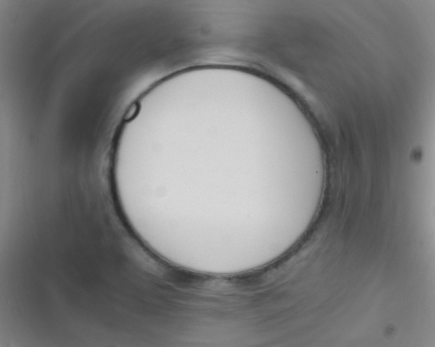 X0000116821463201001081407