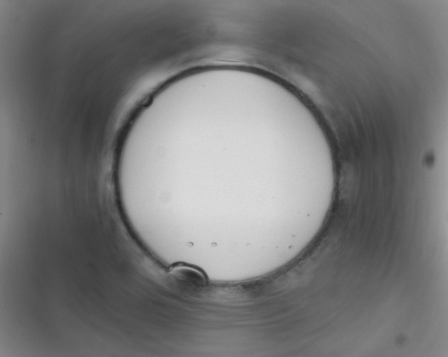 X0000116821464201001081406