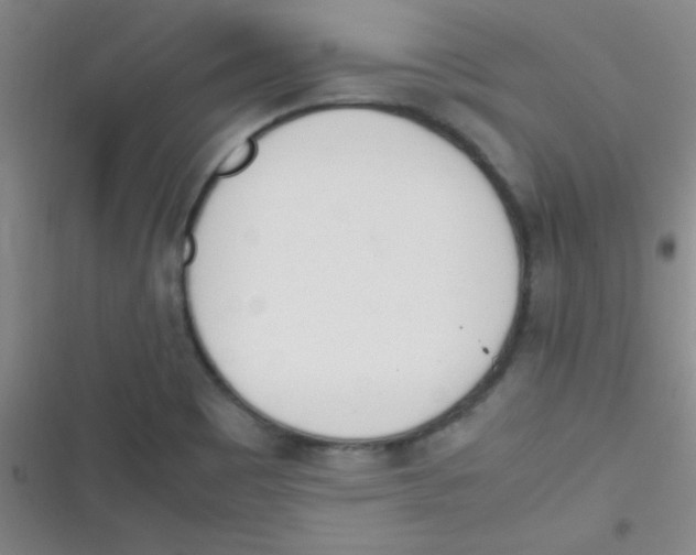 X0000116821465201001081406