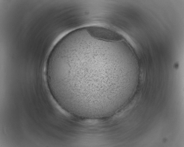 X0000116821468201001081406