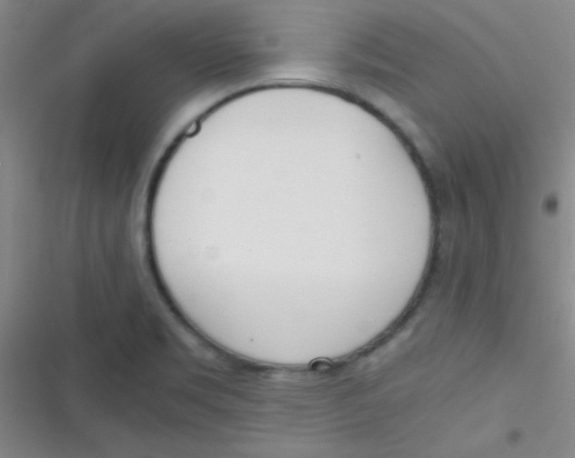 X0000116821469201001081406