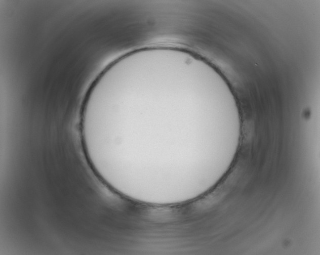 X0000116821470201001081406