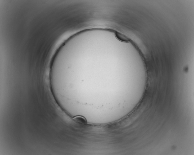 X0000116821472201001081406