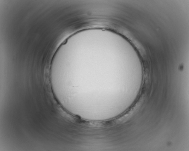 X0000116821473201001081406