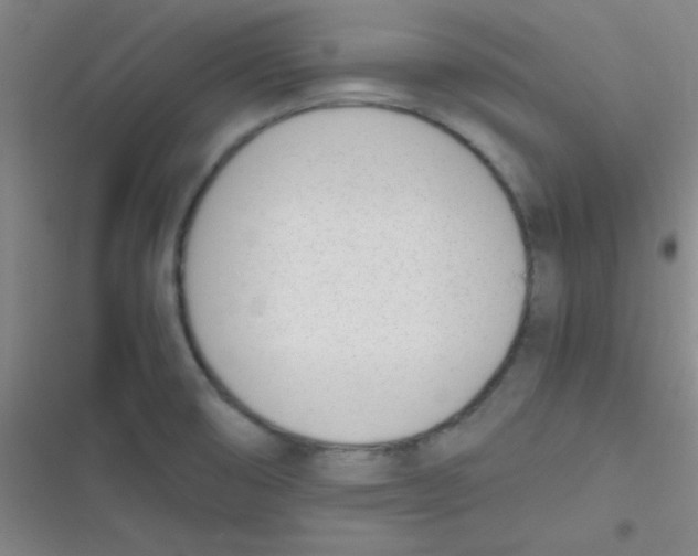 X0000116821474201001081406