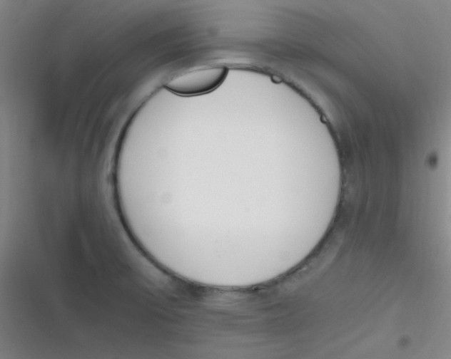 X0000116821475201001081406