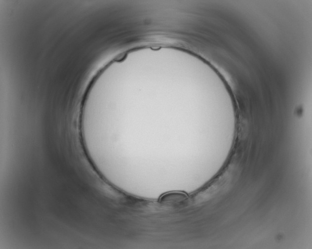 X0000116821477201001081406