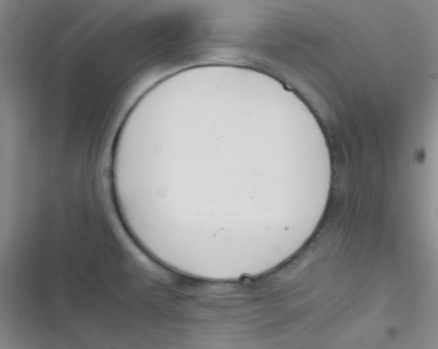 X0000116821479201001081406