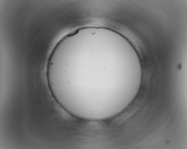 X0000116821480201001081406