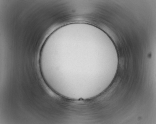 X0000116821482201001081406