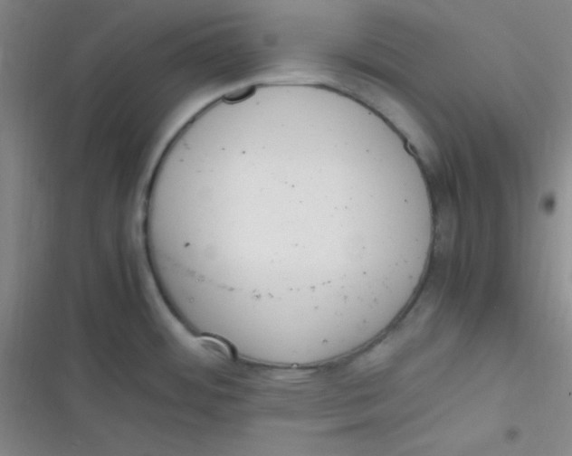 X0000116821484201001081406