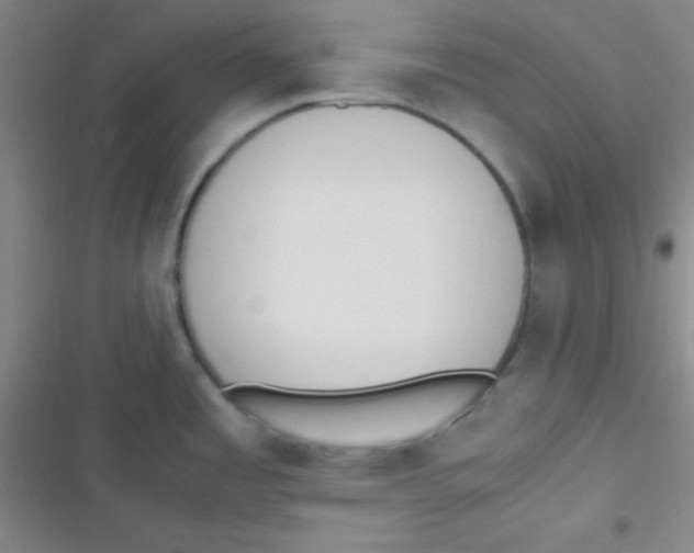 X0000116821485201001081406