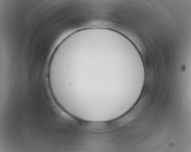 X0000116821486201001081406