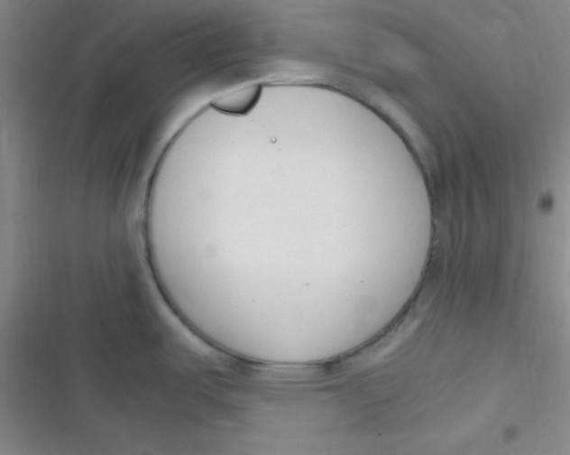 X0000116821487201001081406