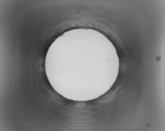 X0000116821490201001081406