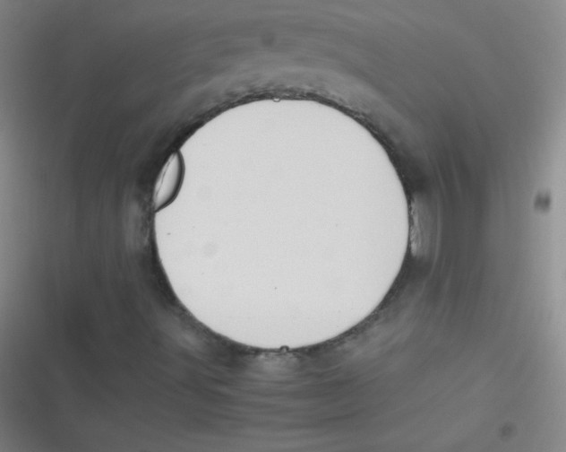 X0000116821491201001081406