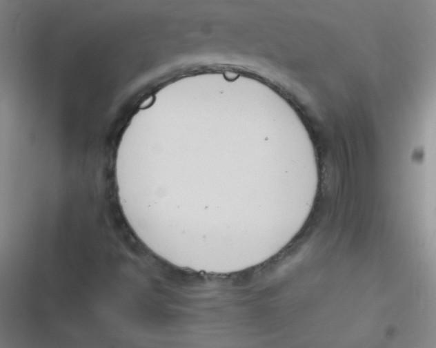 X0000116821494201001081406