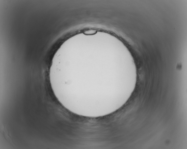 X0000116821495201001081406