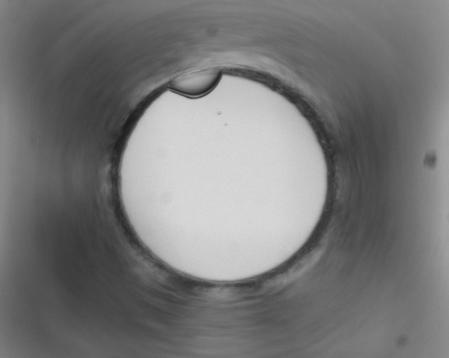 X0000116821497201001081406