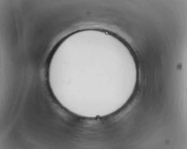 X0000116821501201001081406