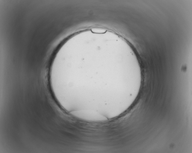 X0000116821503201001081406