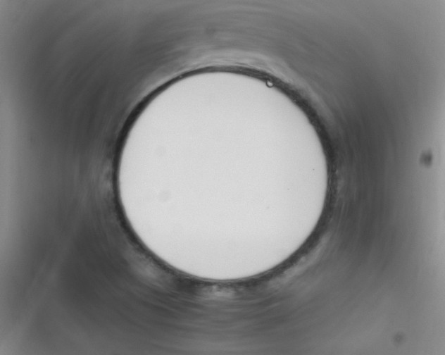 X0000116821505201001081406