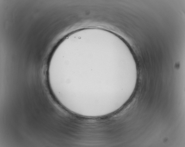 X0000116821507201001081406